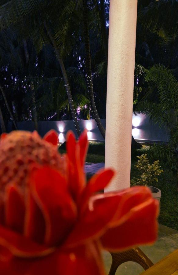Mothership Tangalle Exterior photo